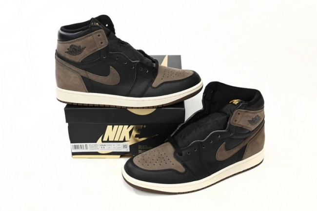 Air DZ5485-020 Jordan OG 1 High Palomino 0825
